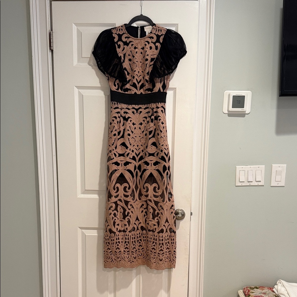 Elegant Black and Tan Lace Dress